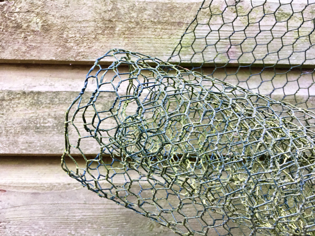 old roll of chicken wire. Cover your plant pot in this and the cat won't dig up the soil to use for urinating
